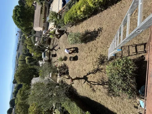 Remise au propre d'un jardin abandonné sur Carcassonne, Carcassonne, FERRAI Aménagement et Nature