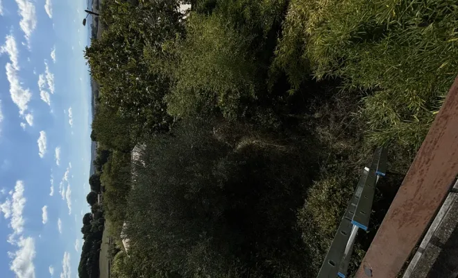 Remise au propre d'un jardin abandonné sur Carcassonne, Carcassonne, FERRAI Aménagement et Nature