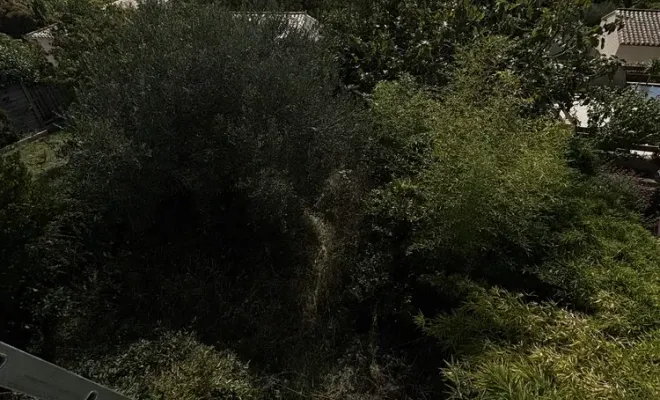 Remise au propre d'un jardin abandonné sur Carcassonne, Carcassonne, FERRAI Aménagement et Nature