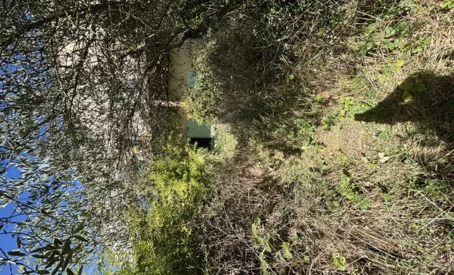 Remise au propre d'un jardin abandonné sur Carcassonne, Carcassonne, FERRAI Aménagement et Nature