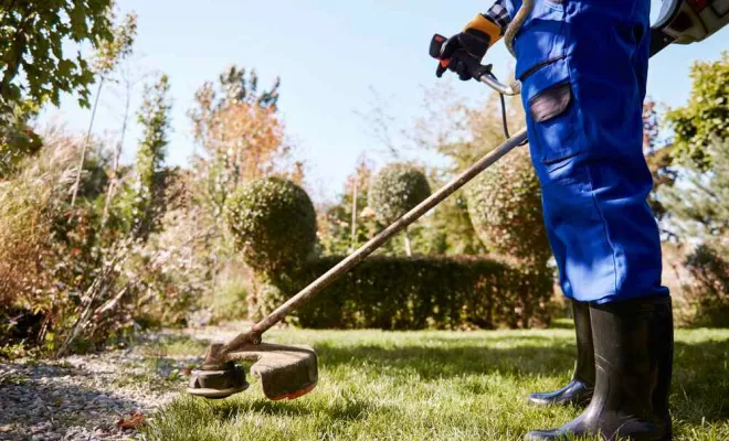Travaux d'entretien de jardin